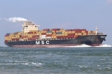 MSC20Angela202809-05-202620Veerhaven29.jpg