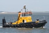 Tuimelaar__20-05-2008_Veerhaven_.jpg