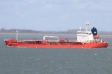 Filename=Veronica20DP202809-03-202220Put20van20Terneuzen29.jpg
Filesize=84KiB
Dimensions=800x533
Date added=Apr 13, 2022 Veronica20DP202809-03-202220Put20van20Terneuzen29.jpg